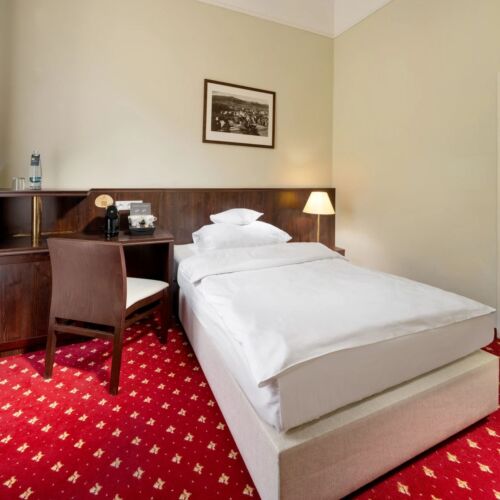 Superior Single Room with Shower