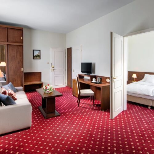 Junior 1-Room Apartment for 2 Persons with Shower (extra beds available)
