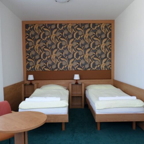 Twin Room with Shower (extra bed available)