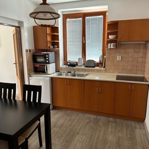 Apartament 2-osobowy z 1 pomieszczeniem sypialnianym (możliwa dostawka)