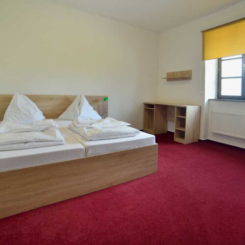 Camera twin cu duș (se poate solicita pat suplimentar)