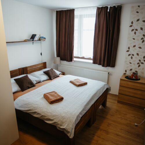 Standard Pokoj se sprchou s manželskou postelí