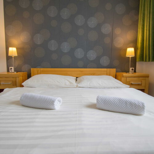 Pokoj se sprchou  s manželskou postelí (s možností přistýlky)