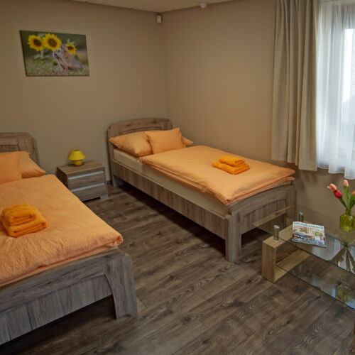 Apartament 2-osobowy Studio (możliwa dostawka)