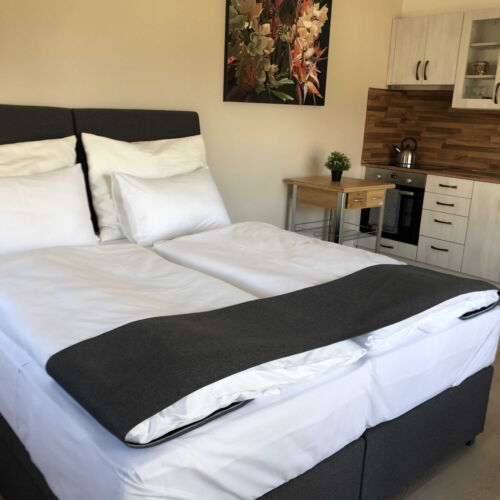 Pokoj se sprchou  pro 2 os.