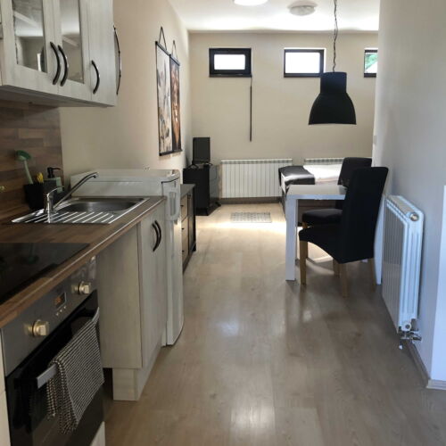 Studio Pokoj se sprchou pro 2 os. (s možností přistýlky)