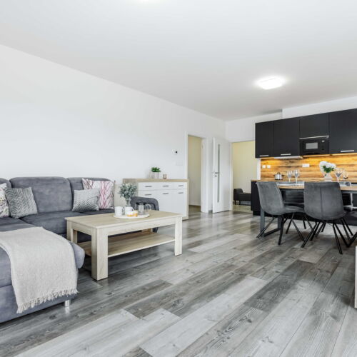 Standard Apartman se sprchou pro 3 os. (s možností přistýlky)