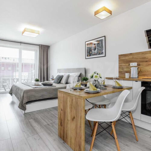 Economy Apartman se sprchou pro 2 os. (s možností přistýlky)