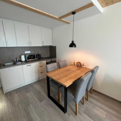 Apartman se sprchou s privátní koupelnou mimo apartmán pro 4 os. (s možností přistýlky)