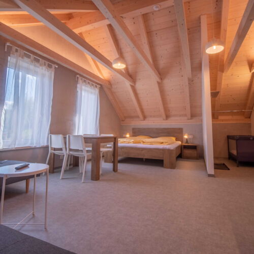 Studio Apartman s vlastní kuchyňkou s manželskou postelí s 1 ložnicí (s možností přistýlky)