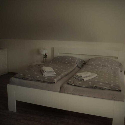 Apartament cu duș cu 1 camera pentru 2 pers. (se poate solicita pat suplimentar)