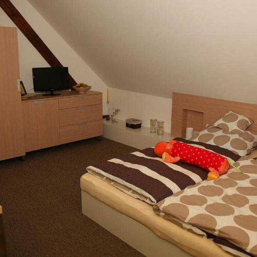 Apartament cu duș cu bucătărie proprie cu 1 camera pentru 2 pers. (se poate solicita pat suplimentar)