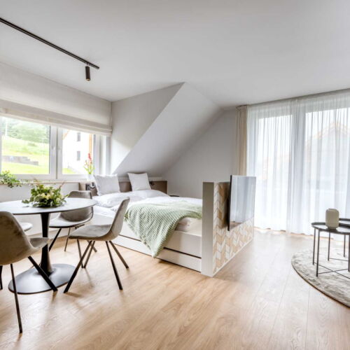 Apartman se sprchou s vlastní kuchyňkou pro 2 os. (s možností přistýlky)