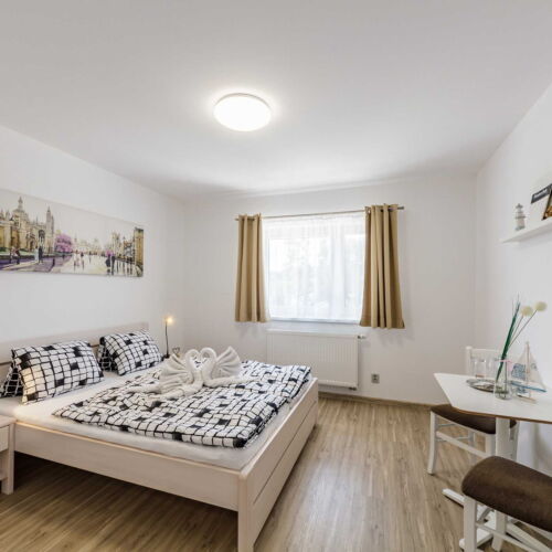 Pokoj se sprchou  s manželskou postelí