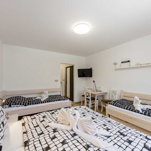 Pokoj se sprchou  pro 4 os.