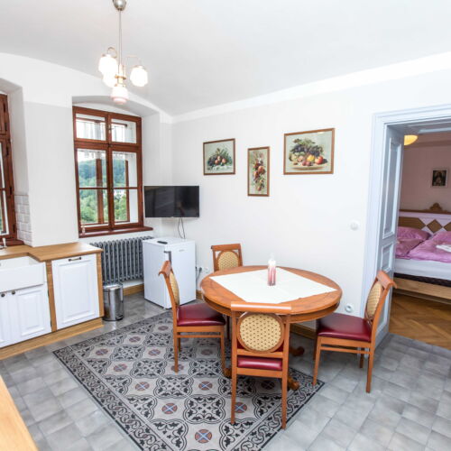 Pokoj se sprchou s vlastní kuchyňkou s manželskou postelí