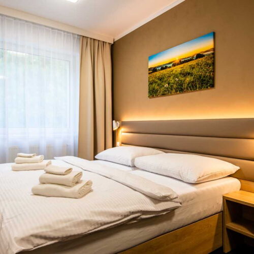 Camera twin accesibil(ă) persoanelor cu dizabilități cu duș (se poate solicita pat suplimentar)