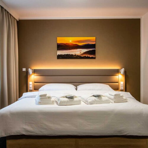 Camera twin cu aer condiționat cu duș