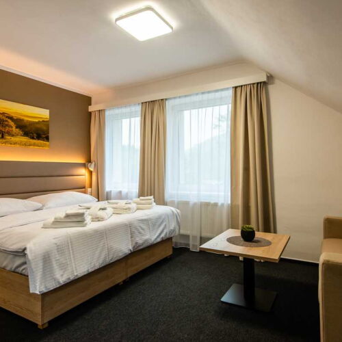 Camera twin cu aer condiționat cu duș (se poate solicita pat suplimentar)