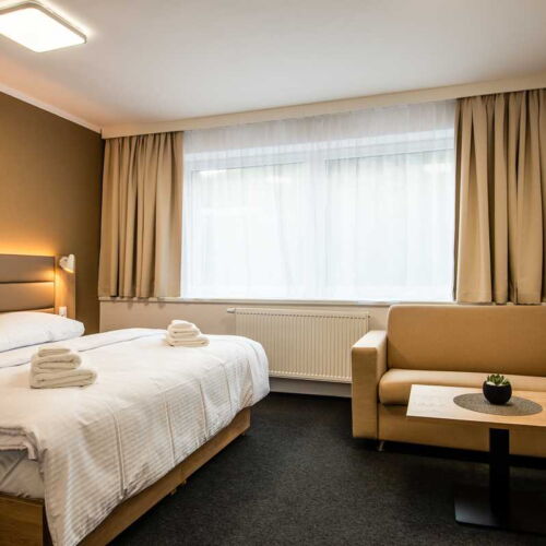 Camera twin cu aer condiționat cu duș (se poate solicita pat suplimentar)