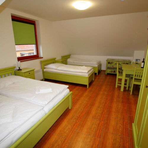 Camera cvadrupla cu duș cu chicinetă comună (se poate solicita pat suplimentar)