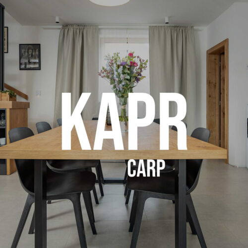 Chata (jako celek) se sprchou s vlastní kuchyňkou pro 4 os. (s možností přistýlky)