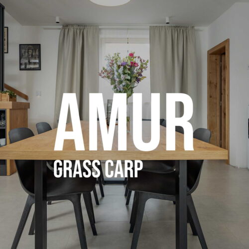 Chata (jako celek) se sprchou  pro 4 os. (s možností přistýlky)