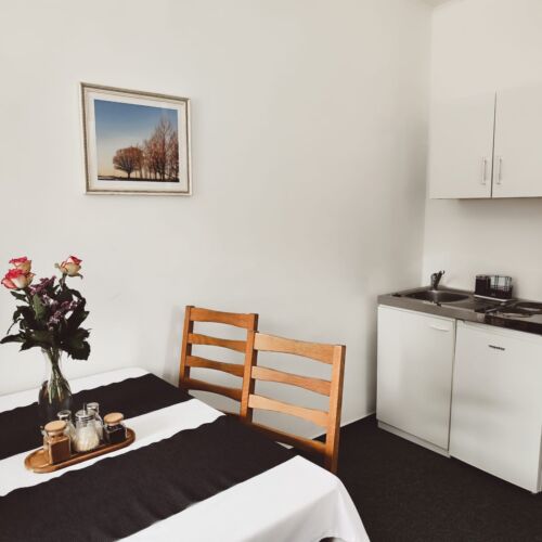 Apartman se sprchou s privátní koupelnou mimo apartmán pro 4 os.