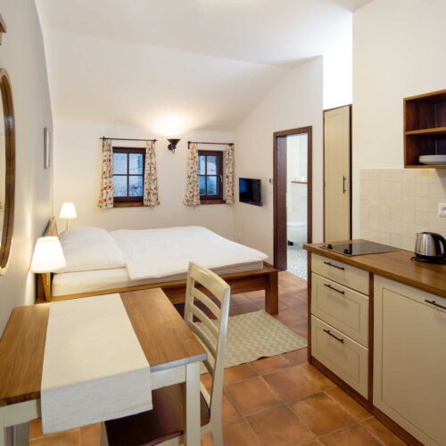 Apartman se sprchou s vlastní kuchyňkou s manželskou postelí s 1 ložnicí