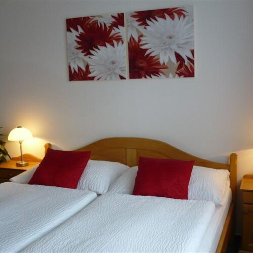 Pokoj se sprchou  pro 2 os.