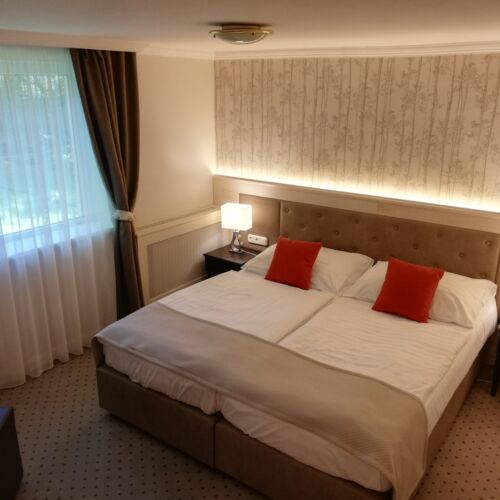 Camera twin standard fără aer condiționat