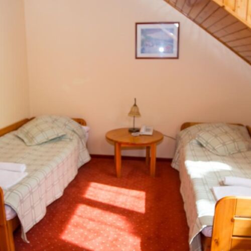 Camera tripla cu aer condiționat cu duș (se poate solicita pat suplimentar)