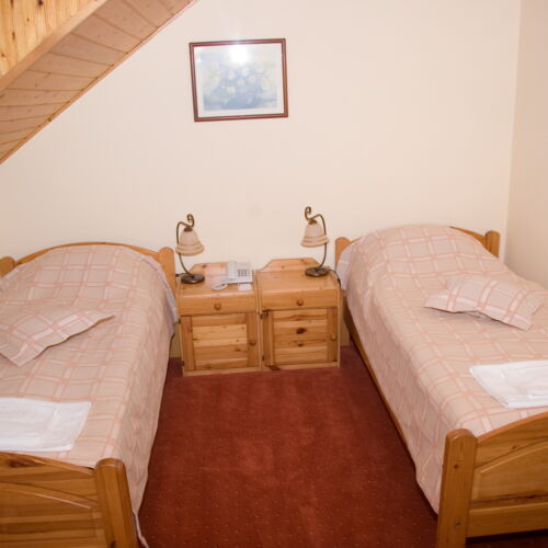 Camera twin accesibil(ă) persoanelor cu dizabilități cu duș