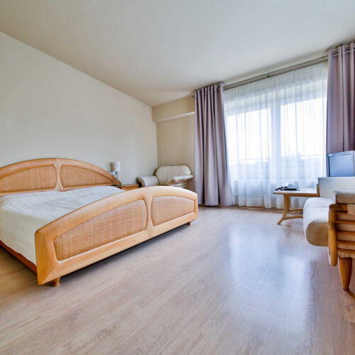Superior Double Room (extra bed available)