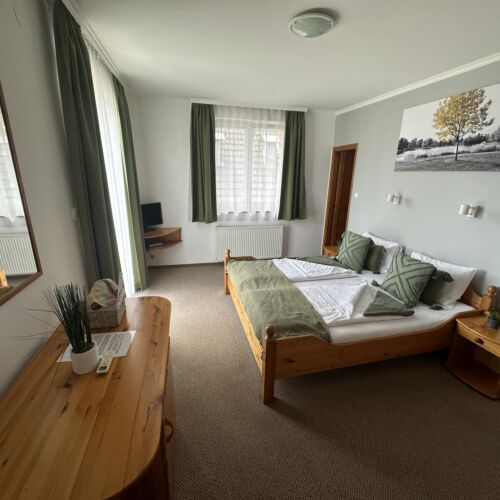 Camera dubla cu terasă cu vedere spre curte