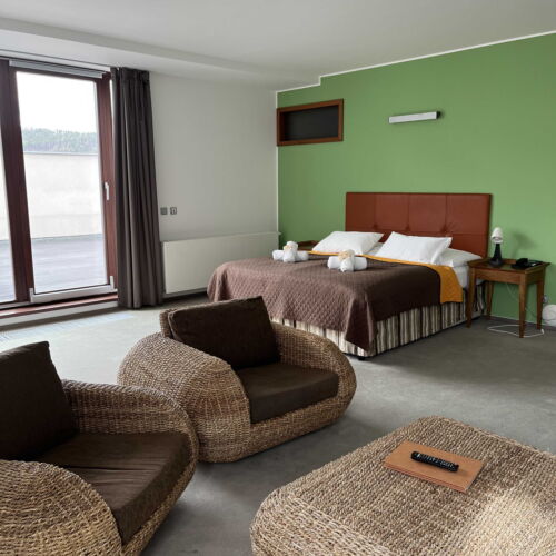 Camera twin cu terasă (se poate solicita pat suplimentar)