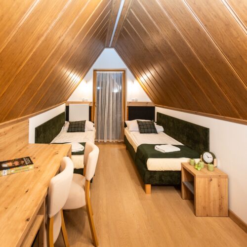 Mansard Twin Room