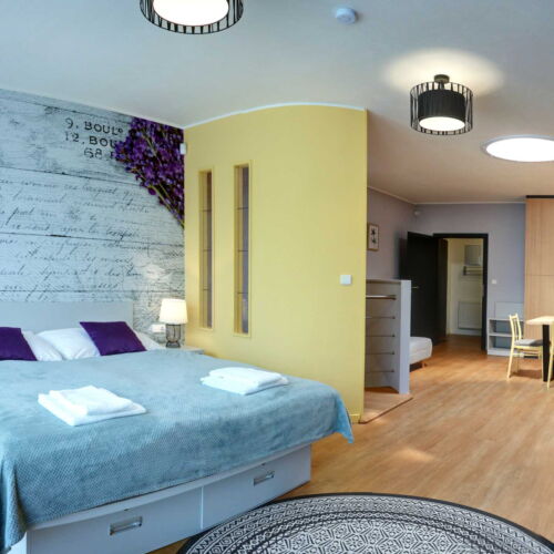 Apartman s privátní koupelnou mimo apartmán  s manželskou postelí s 1 ložnicí (s možností přistýlky)