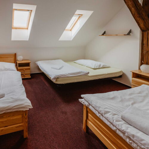 Standard Pokoj se sprchou pro 2 os. (s možností přistýlky)