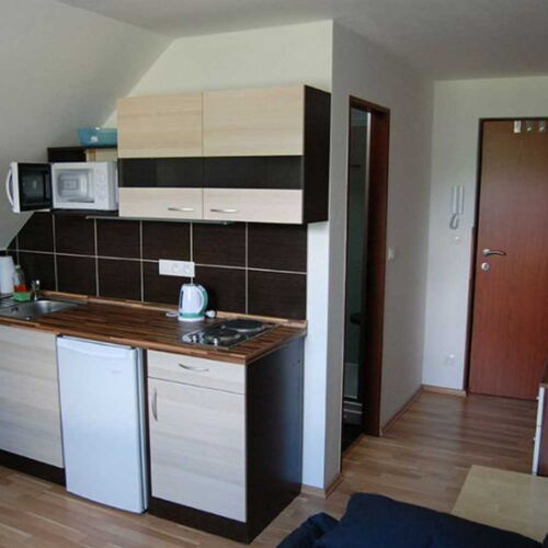 Apartament cu duș cu chicinetă proprie cu 1 camera pentru 2 pers. (se poate solicita pat suplimentar)