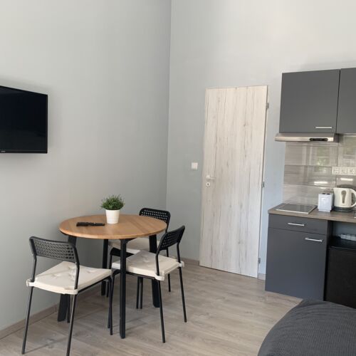 Apartament cu 1 camera pentru 3 pers.