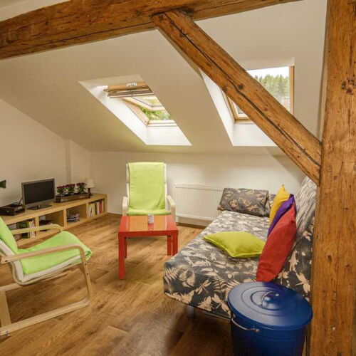 1-Room Apartment for 4 Persons (extra beds available)