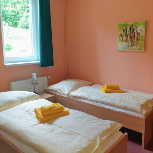 Pokój 2-osobowy Standard typu Twin