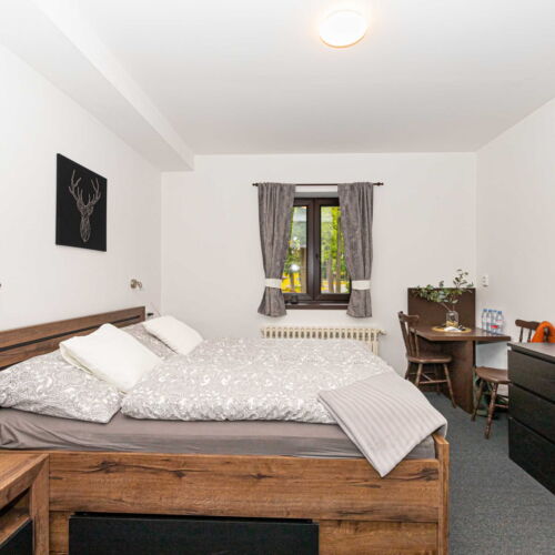 Standard Pokoj se sprchou pro 2 os.