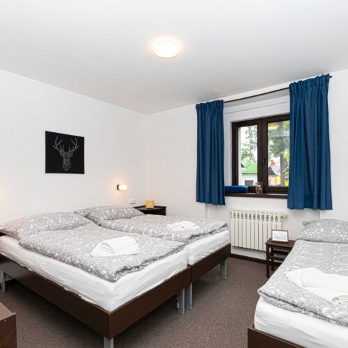 Standard Pokoj se sprchou pro 3 os.