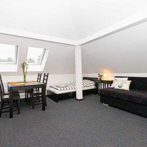 Apartman se sprchou  pro 3 os. (s možností přistýlky)