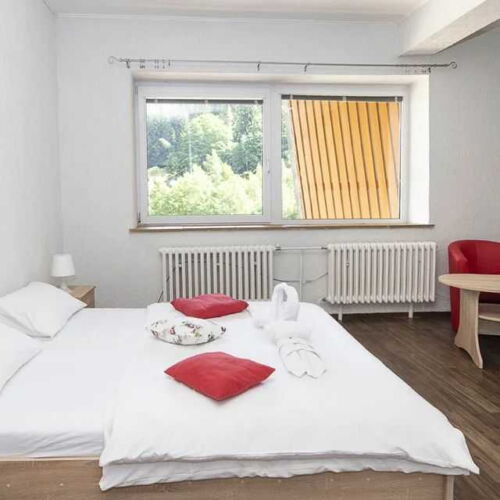 Family 5 Person Room 