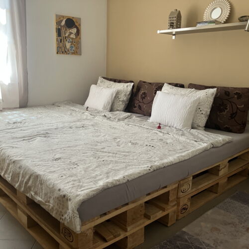 Apartament 2-osobowy z klimatyzacją z widokiem na ogród z 1 pomieszczeniem sypialnianym