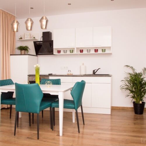 Ground Floor 1-Room Apartment for 4 Persons (extra bed available)