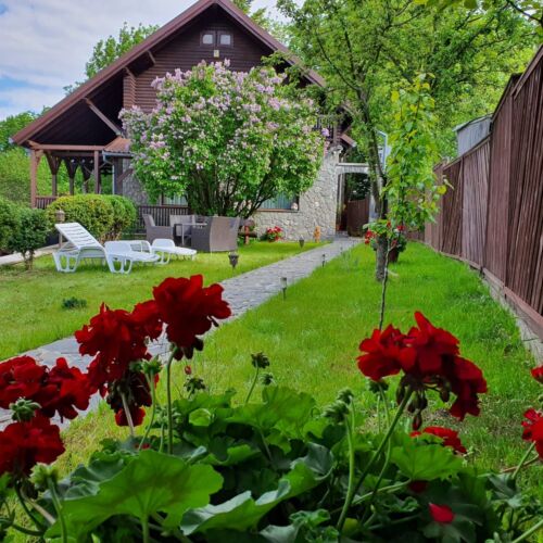 Vila art întreaga unitate pentru 10 pers. (se inchirieaza doar integral)